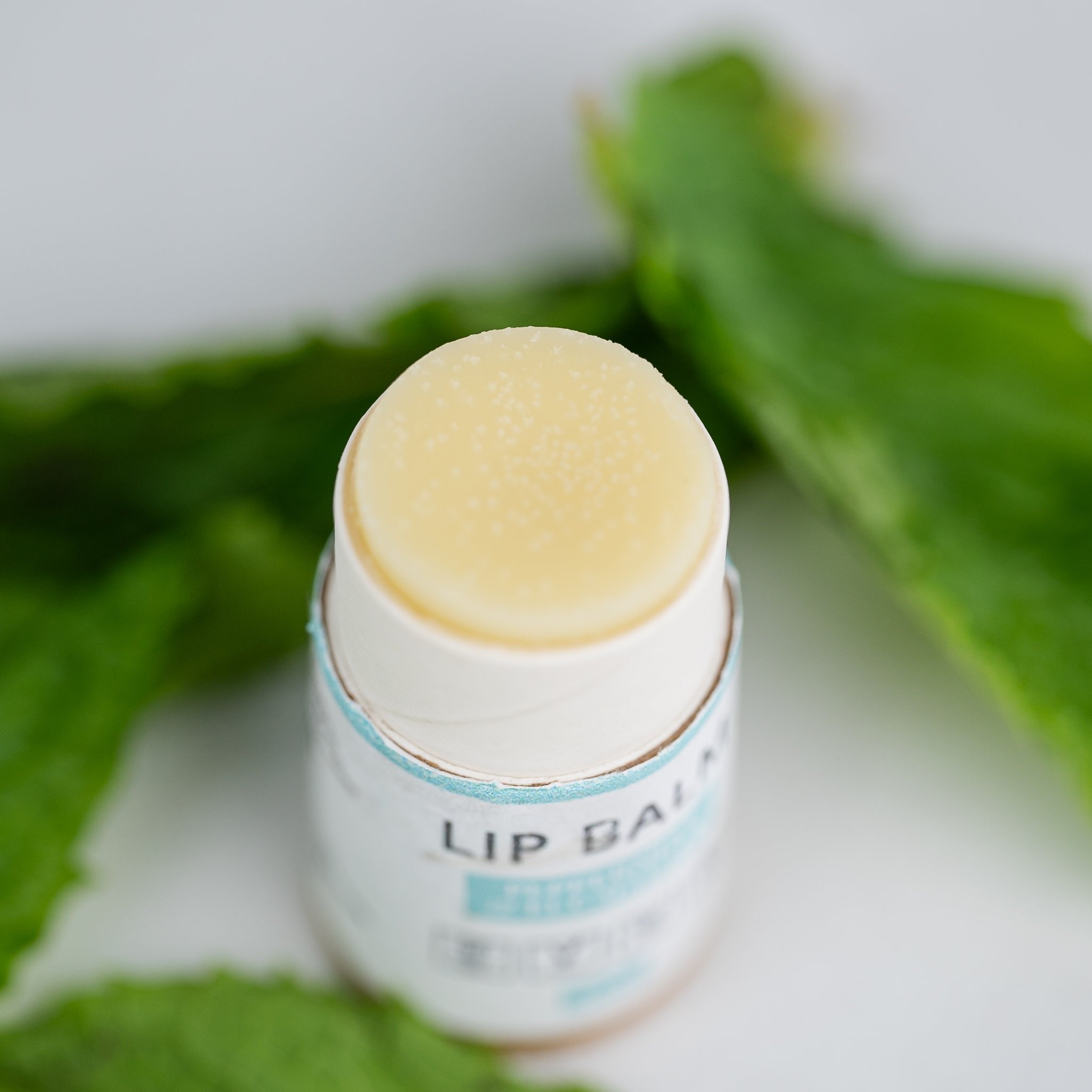 INDEPENDENT BRANDS LIP BALM BUNDLE (5-PACK) — natural hydration &amp; soothing care
