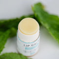 J and L Naturals (5-PACK) — natural hydration & soothing care J and L Naturals