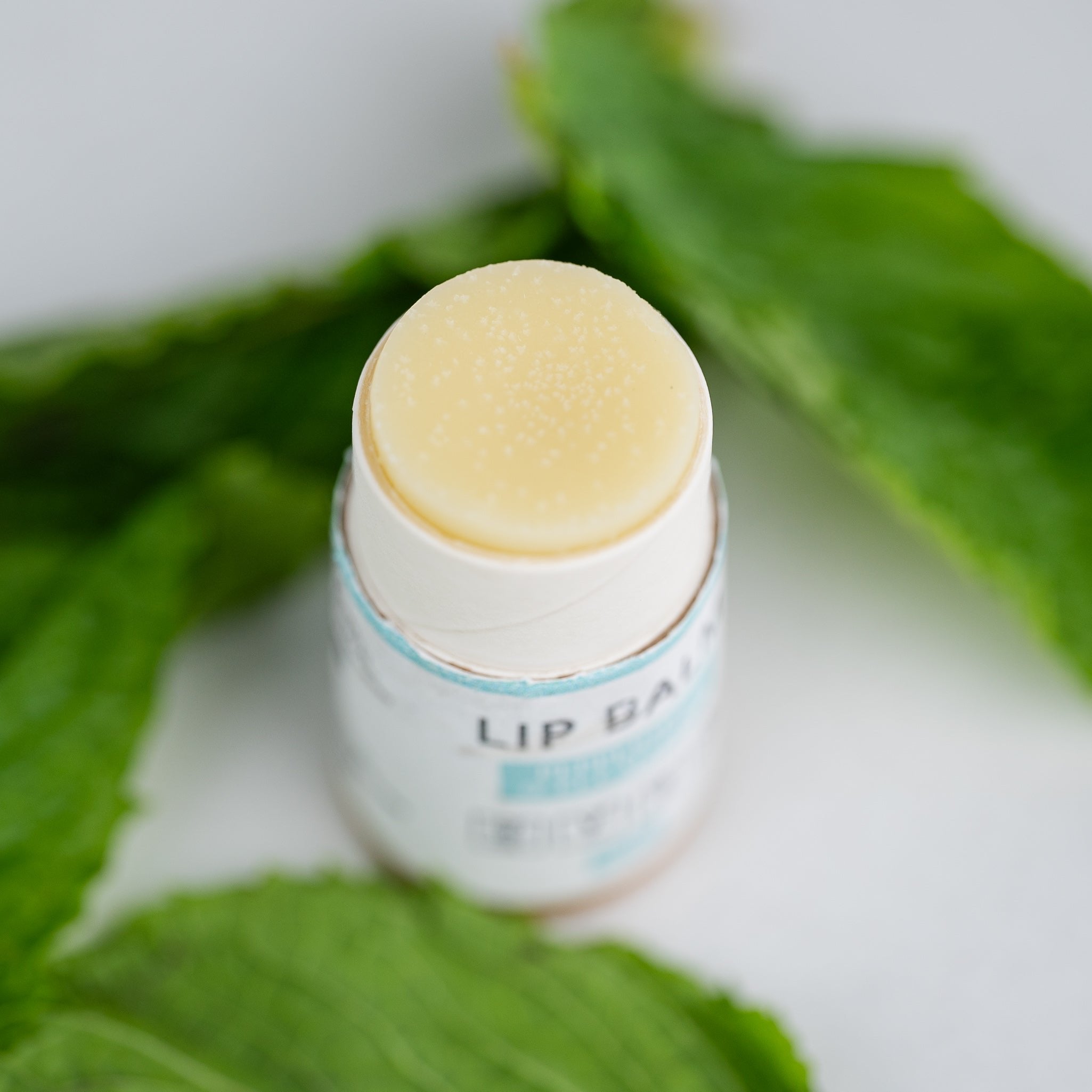INDEPENDENT BRANDS LIP BALM (DUO) — natural hydration &amp; nourishment